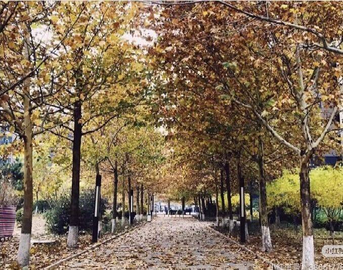 Beijing-Chaoyang-Clean&Comfy,Pet Friendly