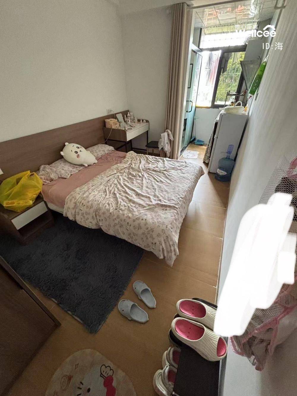 溫馨小窩 | 乾淨治愈 | 不限性別 | 市井煙火氣 | 慢時光