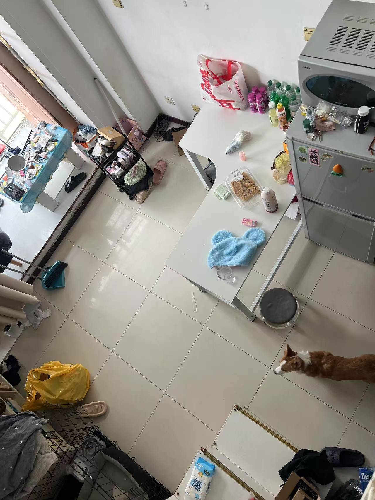 🌚🌝整租房源3