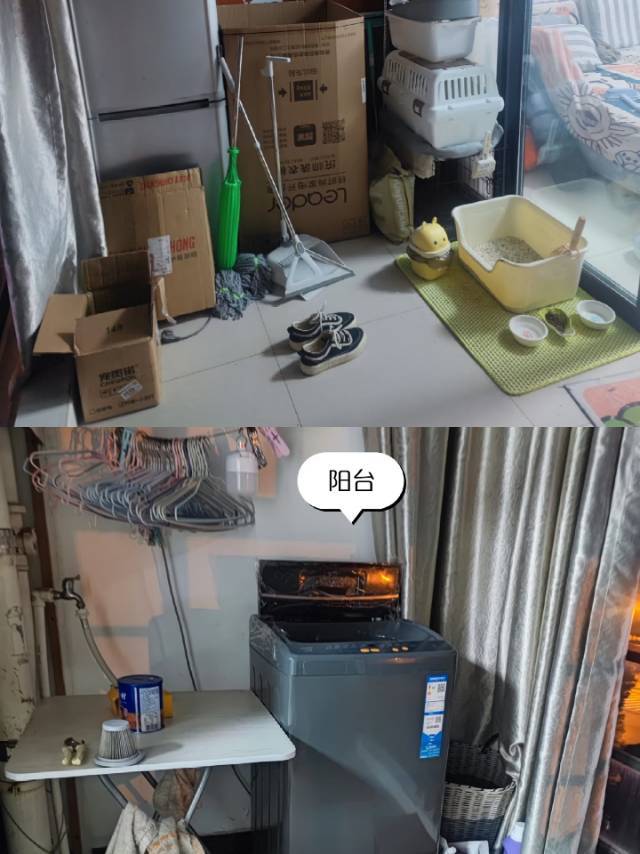 大白糖奶猫整租房源2