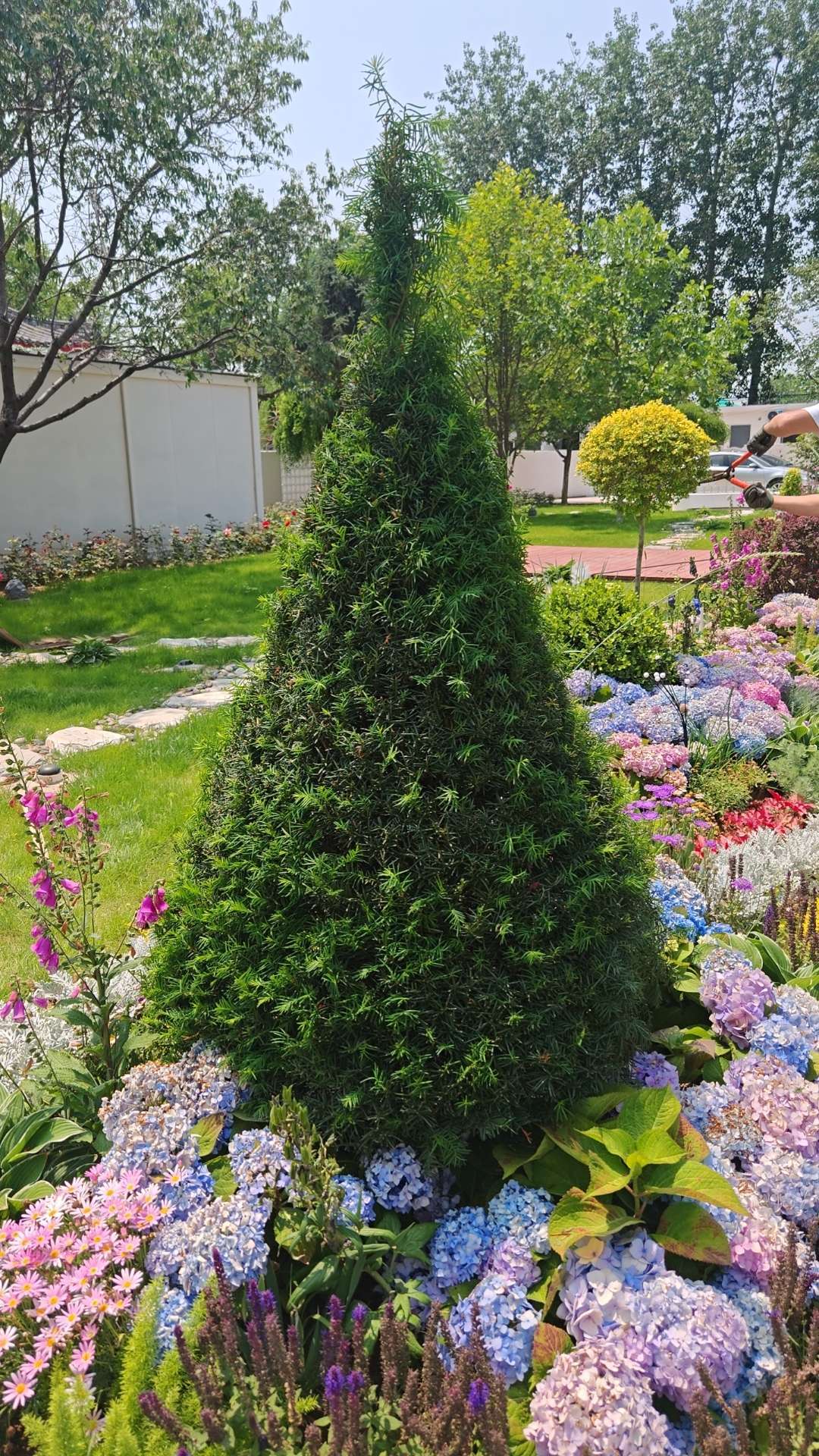 北京-昌平-温馨小窝,不限性别