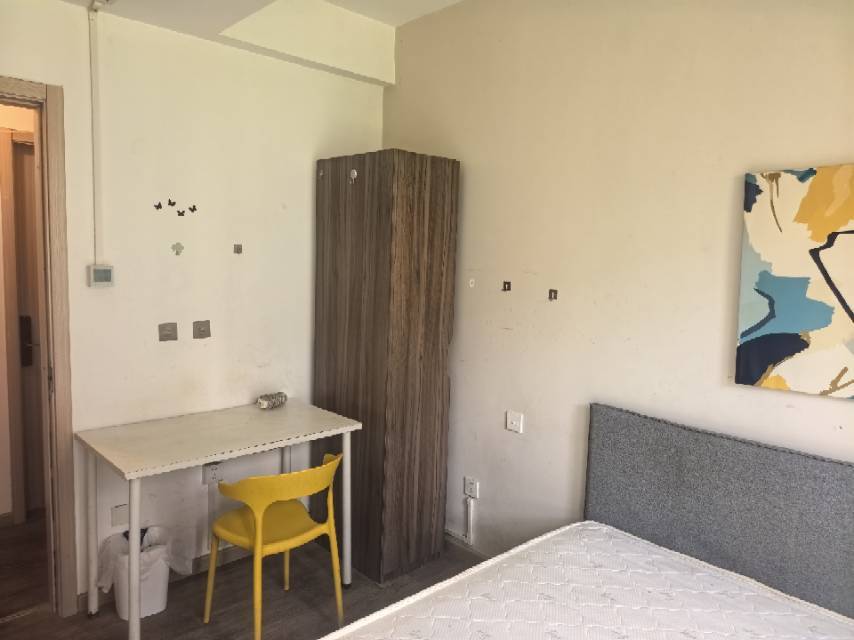 Shanghai-Songjiang-Cozy Home,Clean&Comfy,No Gender Limit