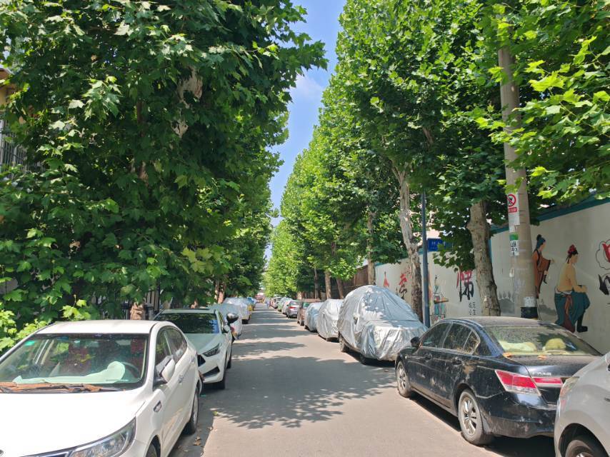 暗夜公爵 এꦿ᭄整租房源2