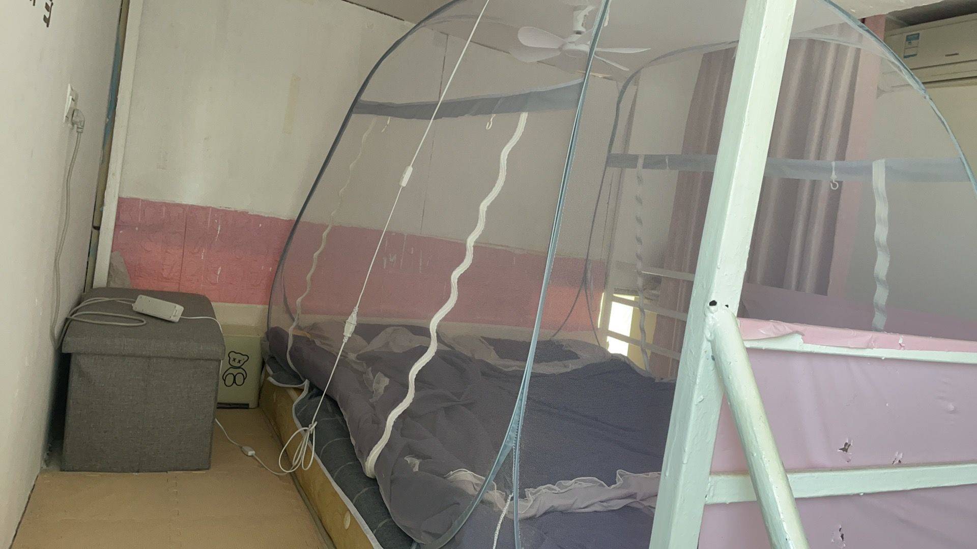 可养猫 | Pet Friendly | Cozy Home | No Gender Limit