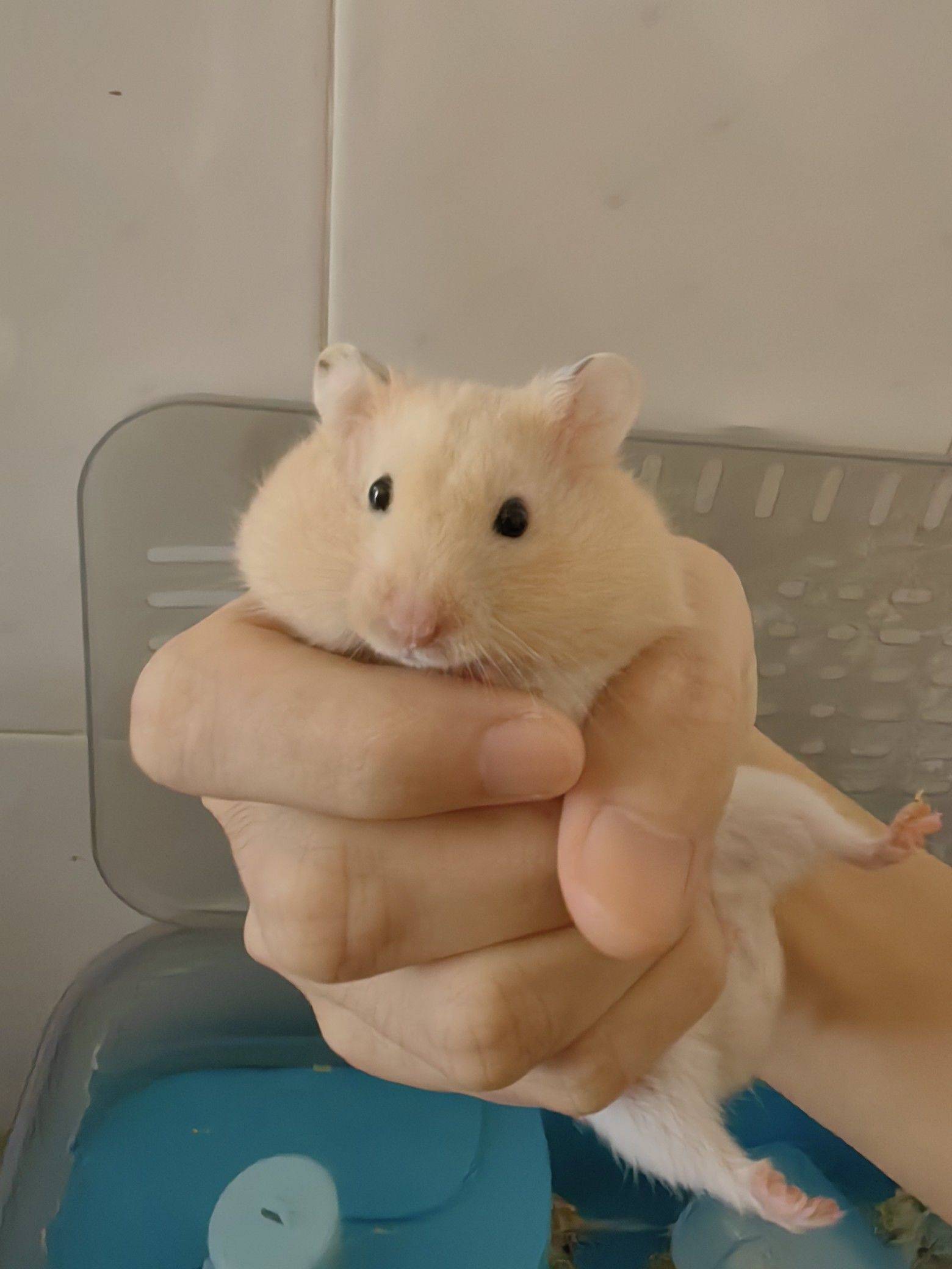 深圳 龙华 | 龙华富联二区-182栋_4