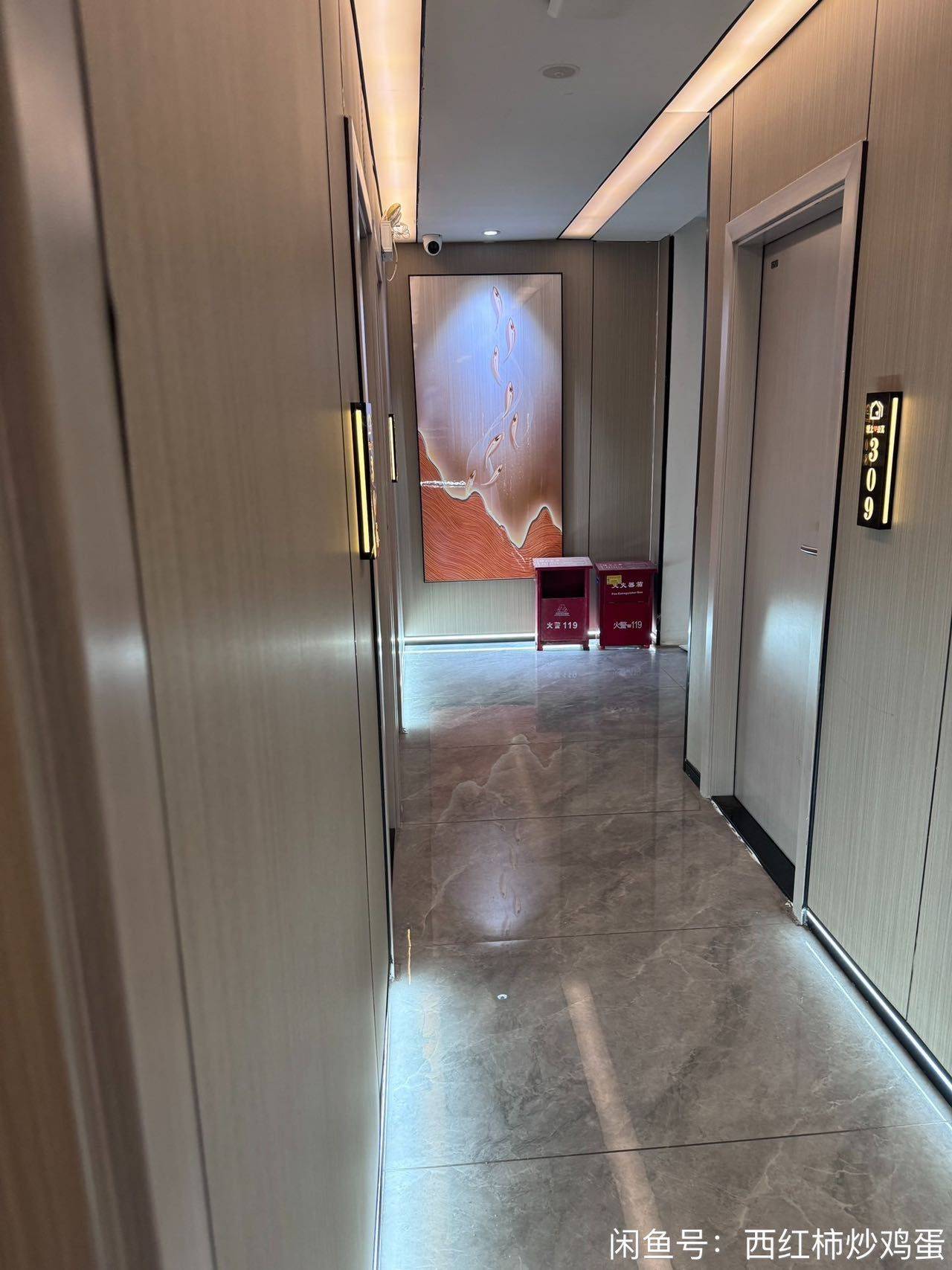 深圳-龙岗-温馨小窝,干净治愈,宠物友好