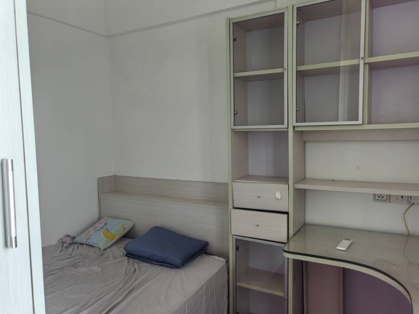 深圳-宝安-温馨小窝,干净治愈,不限性别,宠物友好