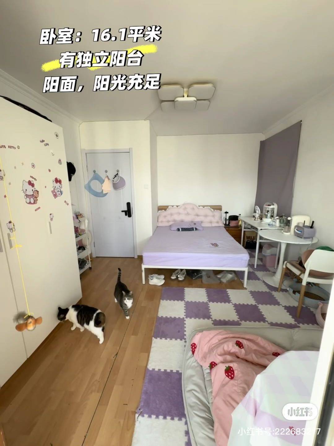 小洛0608整租房源1