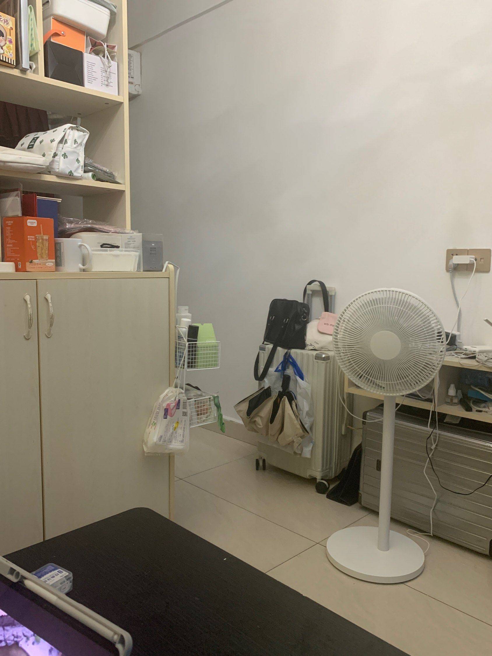 深圳-龙华-温馨小窝,干净治愈,市井烟火气,宠物友好