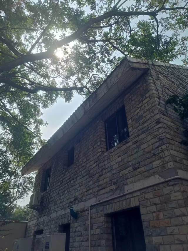 大连 中山 | 华侨别墅-7号楼_4