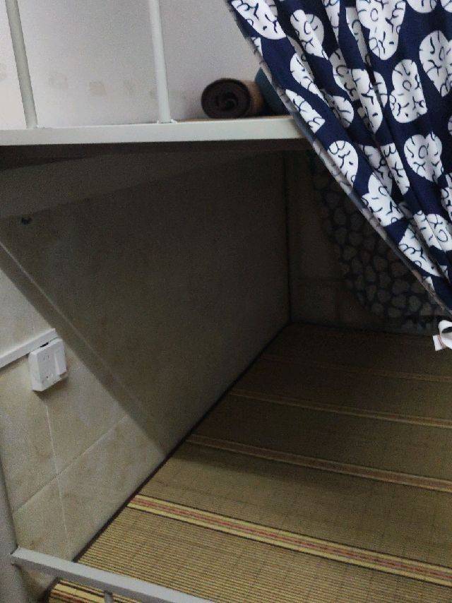 Shenzhen-Longgang-Cozy Home,Clean&Comfy,No Gender Limit,Hustle & Bustle,Pet Friendly