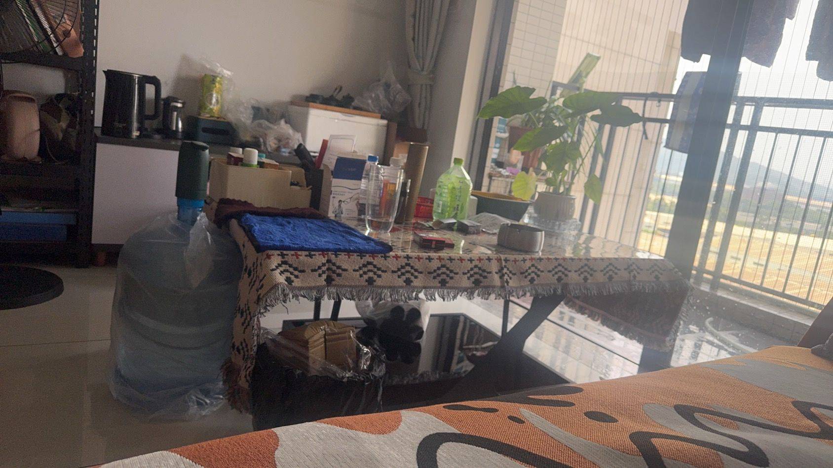 广州-黄埔-100RMB/晚,温馨小窝,干净治愈,不限性别,市井烟火气,老友记