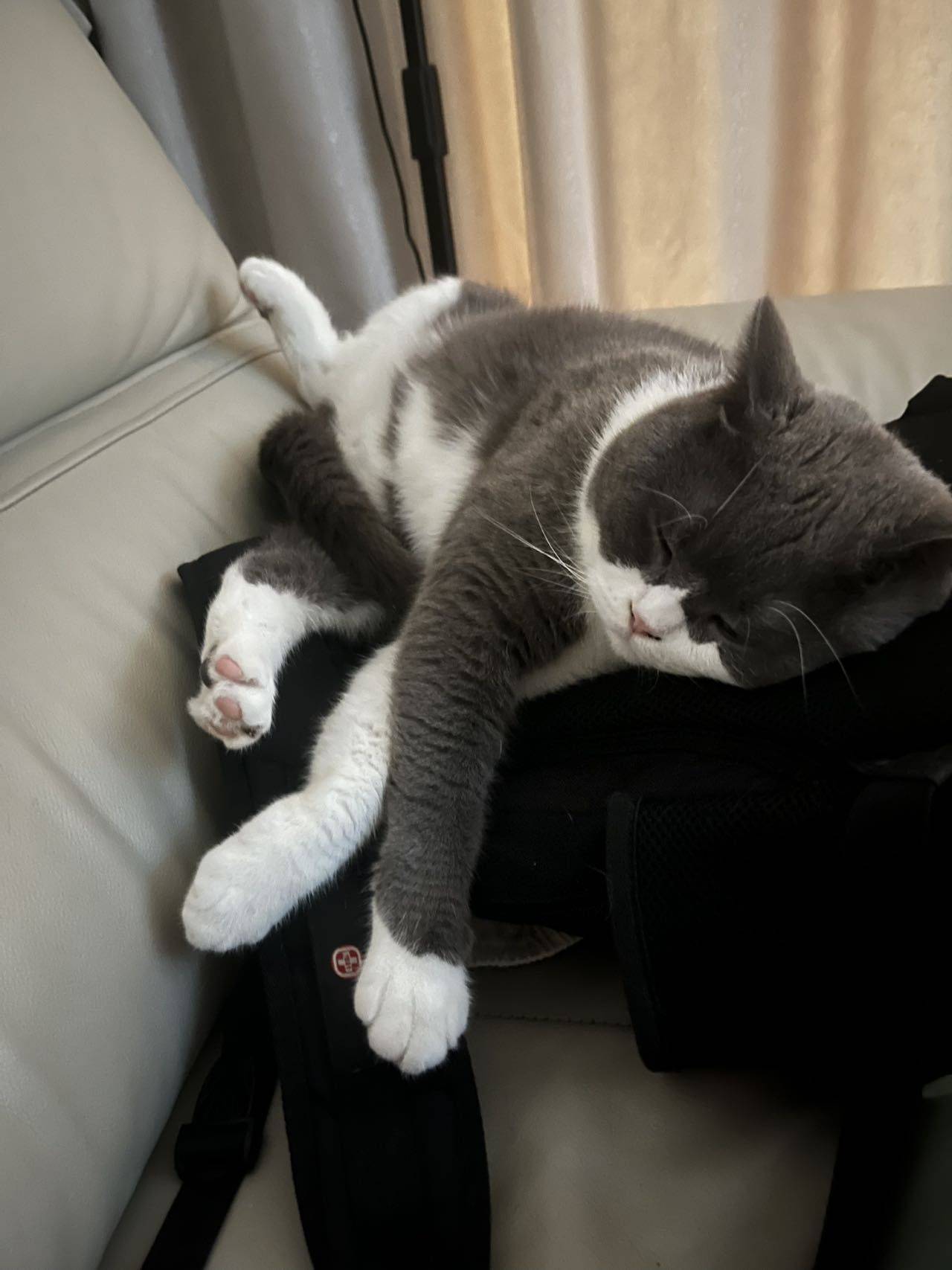 微辣丶小饼干整租房源2