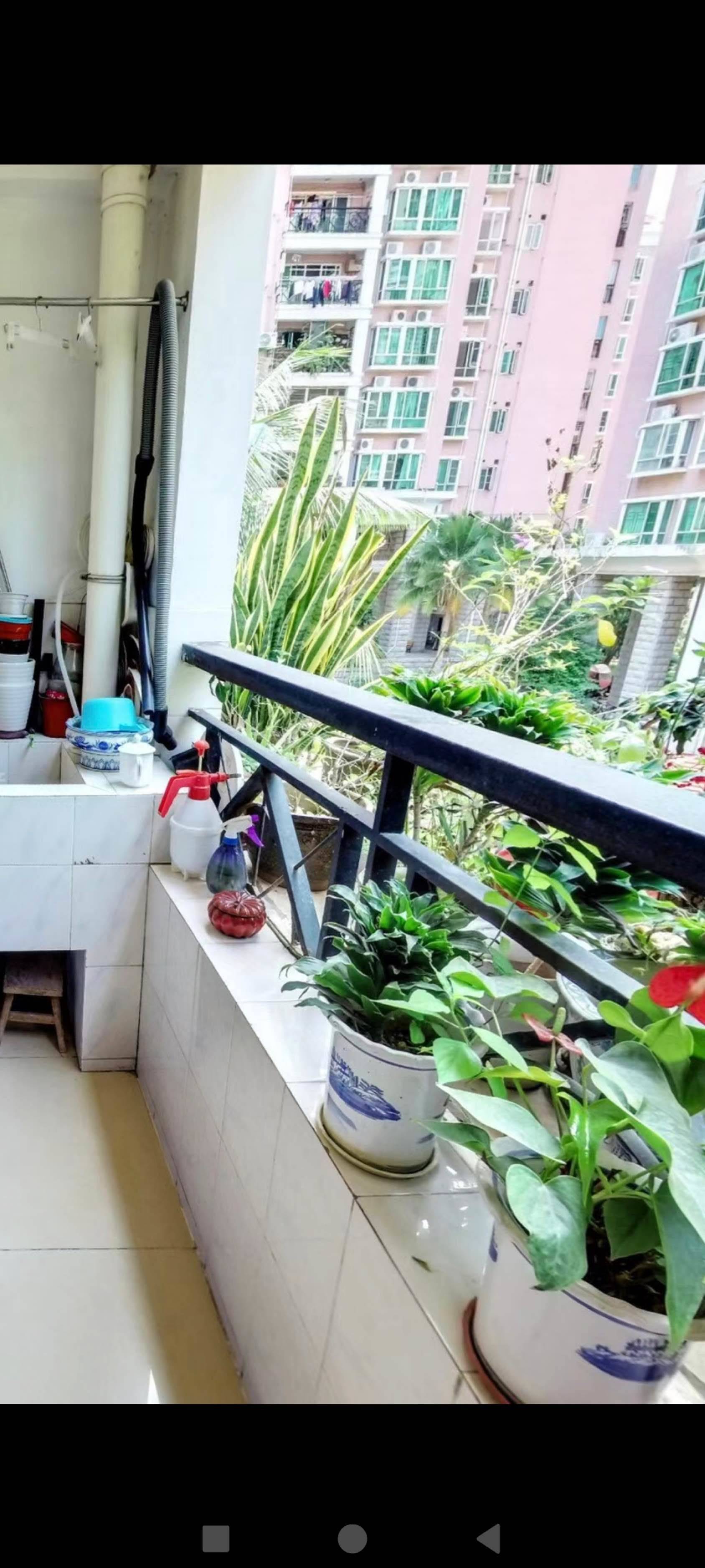 Shenzhen-Nanshan-Cozy Home,Clean&Comfy,Hustle & Bustle,“Friends”,Chilled