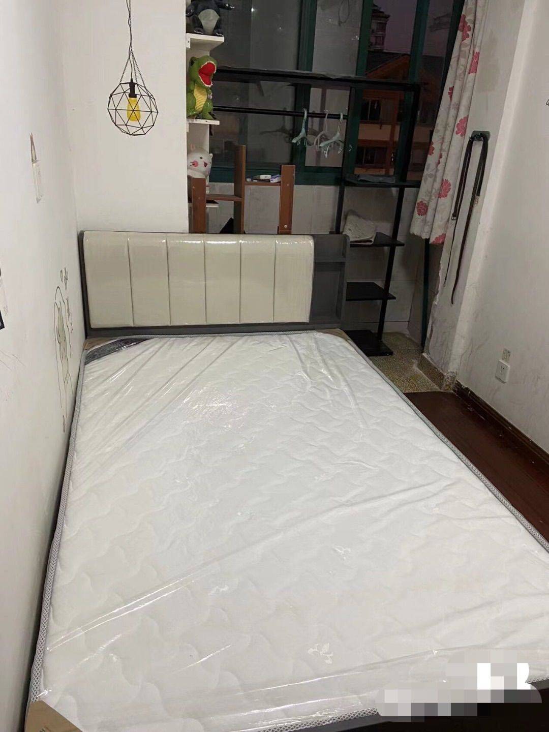 上海-浦東-溫馨小窩,乾淨治愈,不限性別,寵物友好