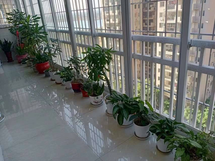 厦门-集美-海景房