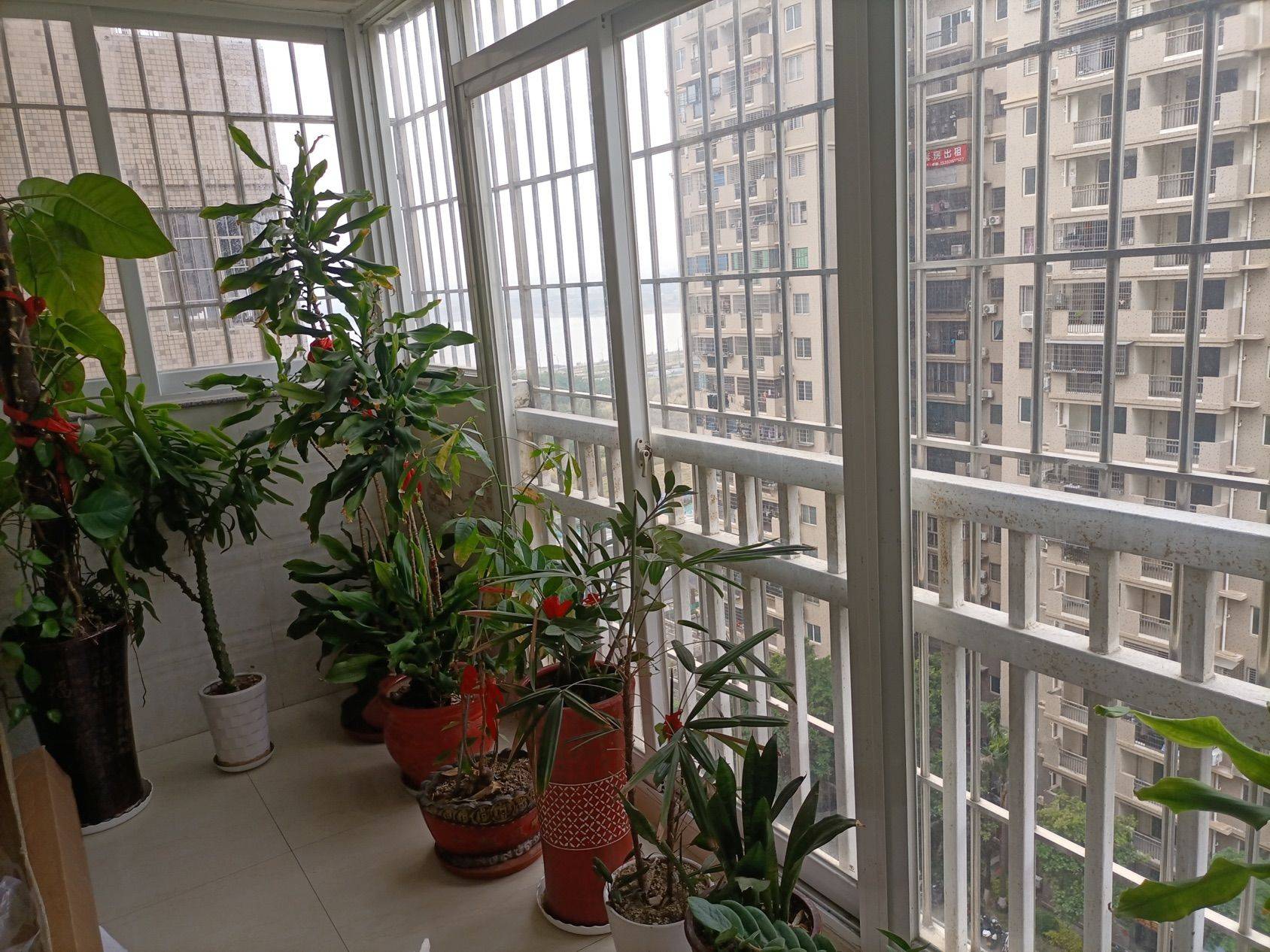 厦门-集美-海景房