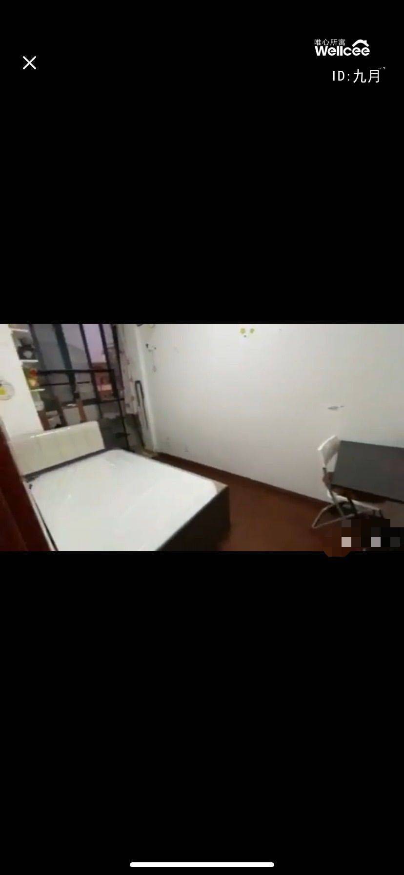 上海-浦東-溫馨小窩,乾淨治愈,不限性別,寵物友好