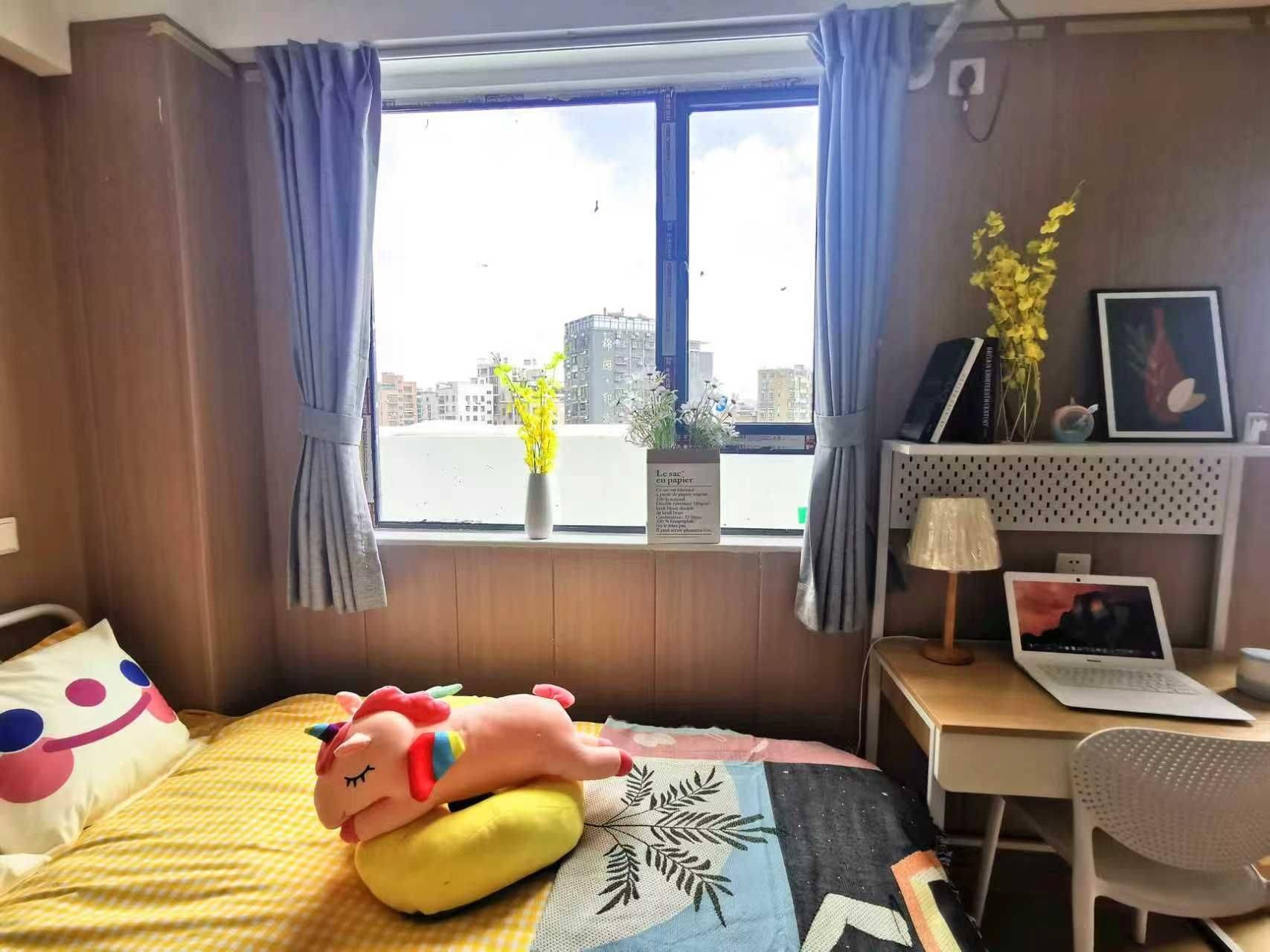 深圳-龍華-40RMB/晚,溫馨小窩,乾淨治愈,不限性別,市井煙火氣,老友記,慢時光,LGBTQ友好,寵物友好