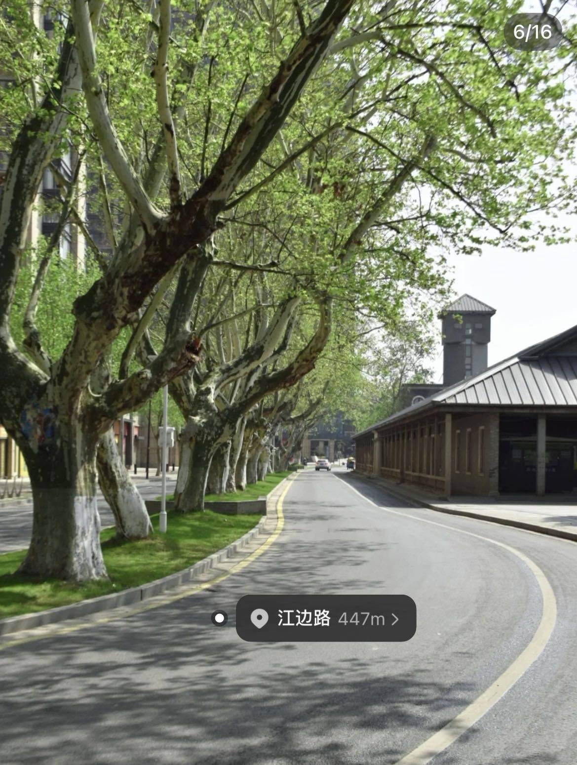 Nanjing-Gulou-Cozy Home,Clean&Comfy,No Gender Limit,Hustle & Bustle,“Friends”,Chilled