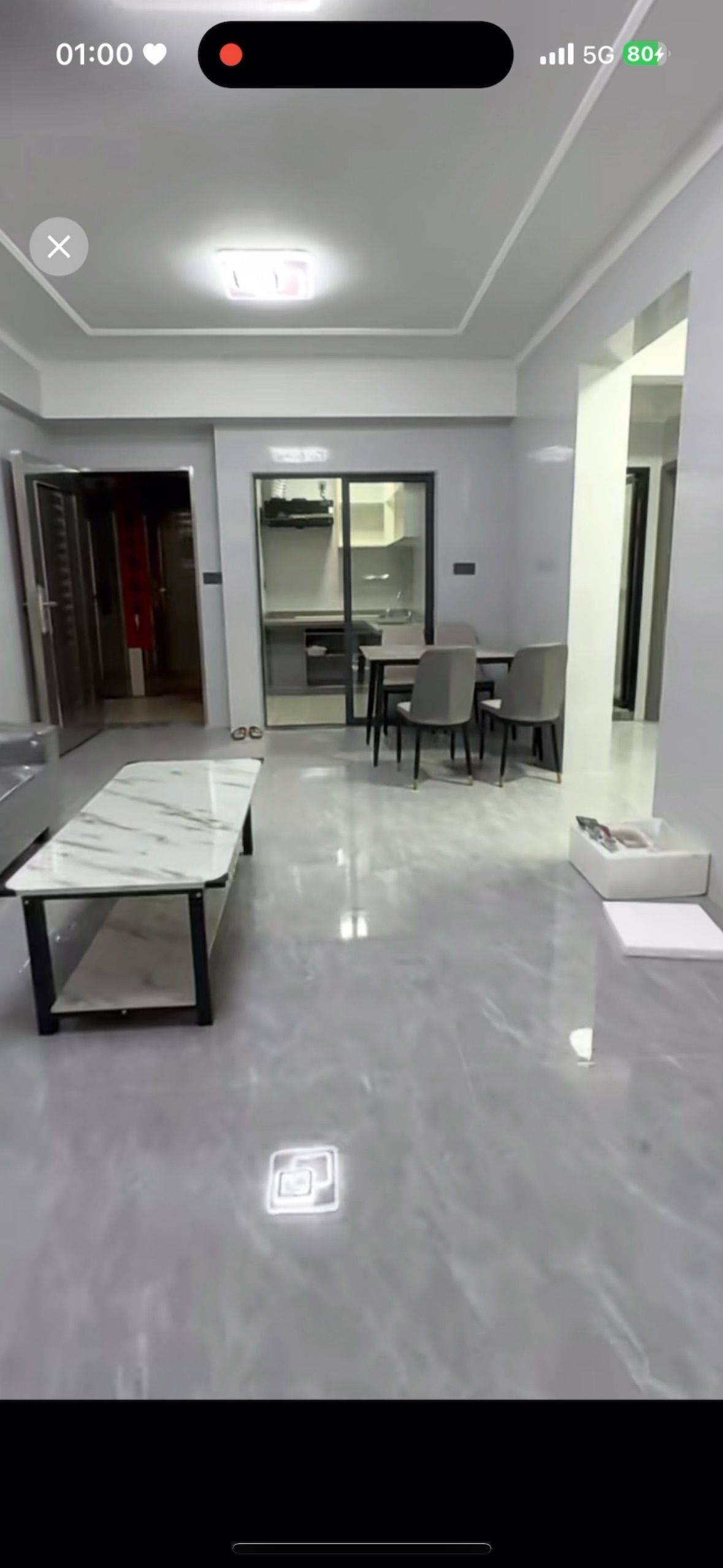 Dongguan-Dongcheng-Pet Friendly