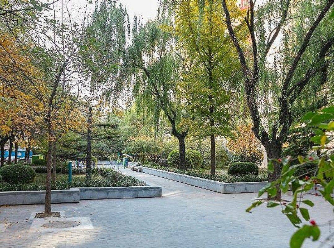 Beijing-Chaoyang-Cozy Home,Clean&Comfy,No Gender Limit