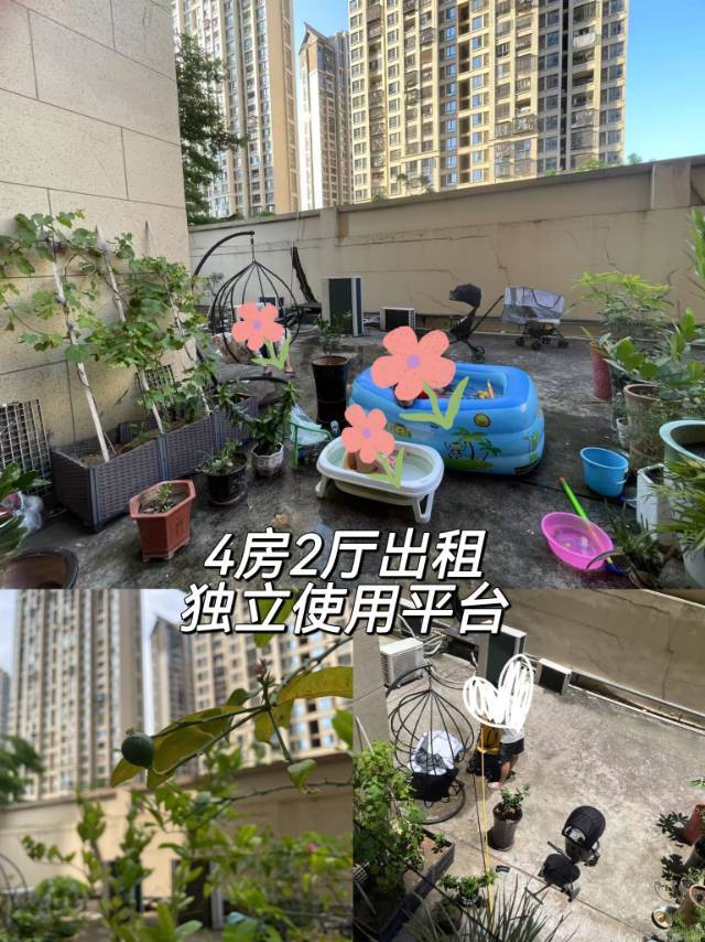 集美房东出租整租房源1
