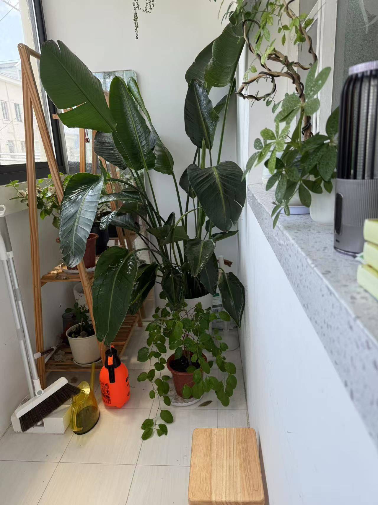 Shanghai Xuhui | 上缝小区_6