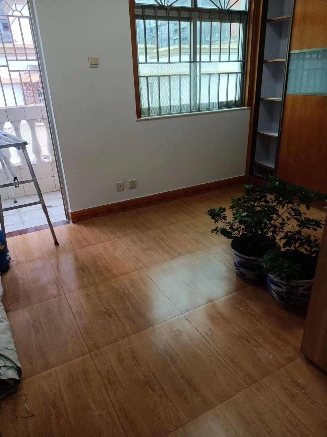 深圳-福田-温馨小窝,不限性别,老友记