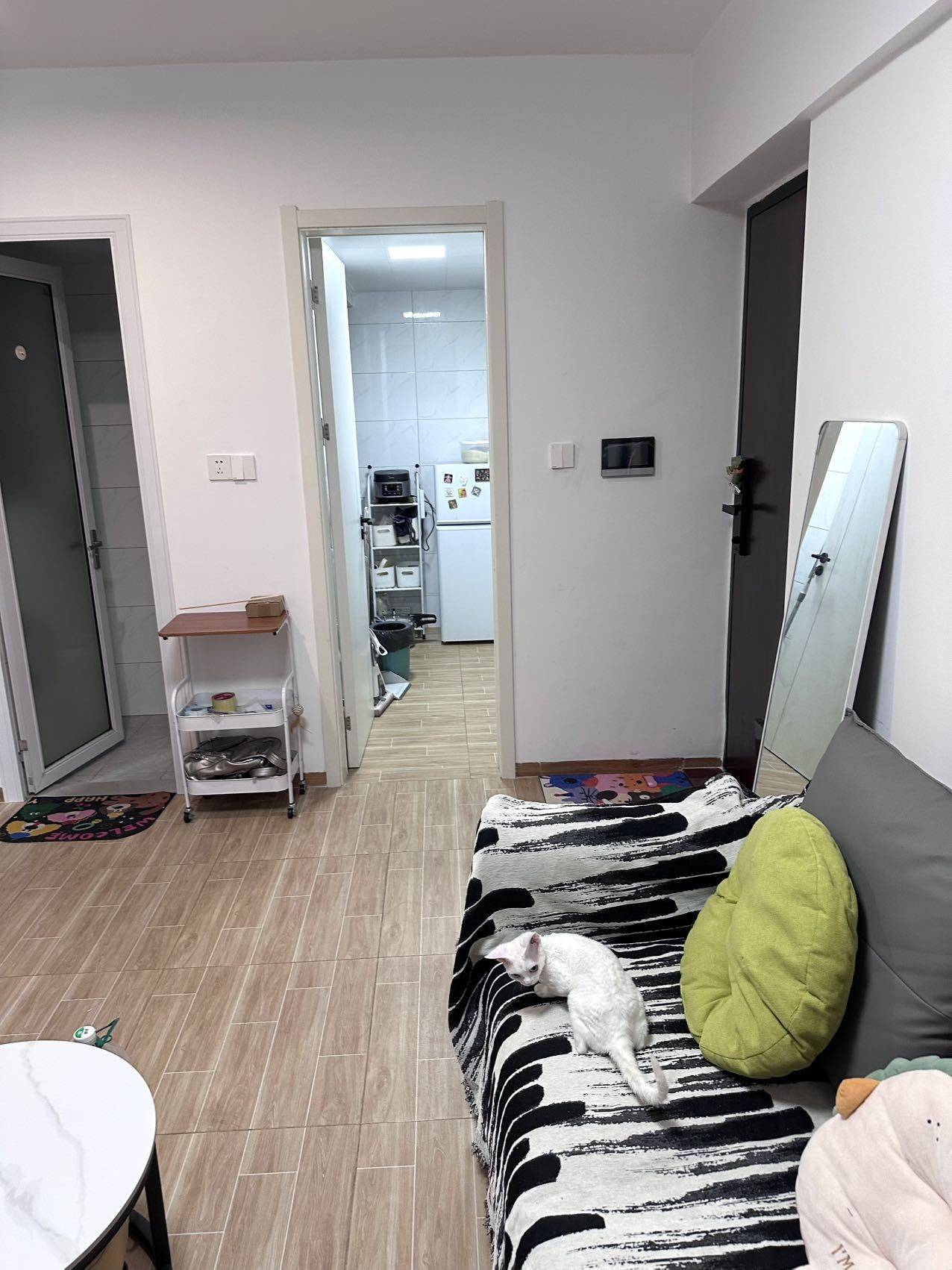 佛山 南海 | 欣欣公寓(沙涌沙步路店)_8