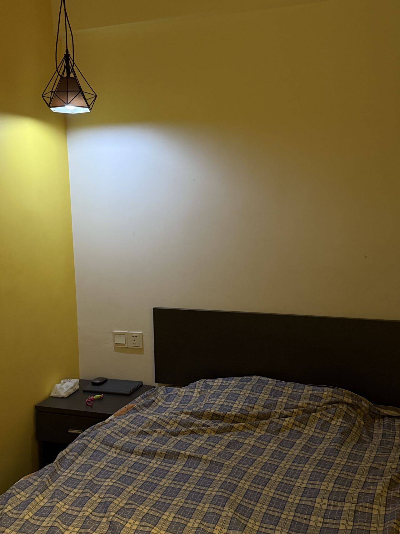 深圳-宝安-宠物友好