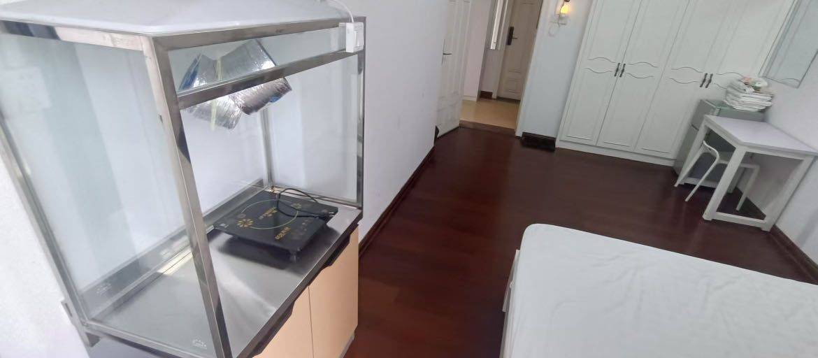 深圳-龙岗-温馨小窝,不限性别,市井烟火气,宠物友好