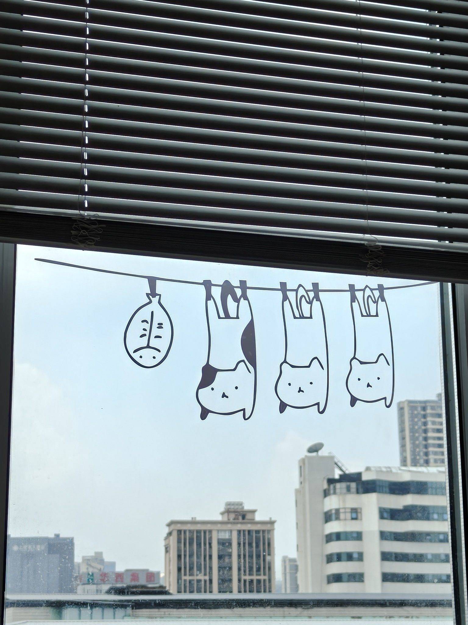 Chengdu-Jinniu-Cozy Home,Clean&Comfy,No Gender Limit,LGBTQ Friendly