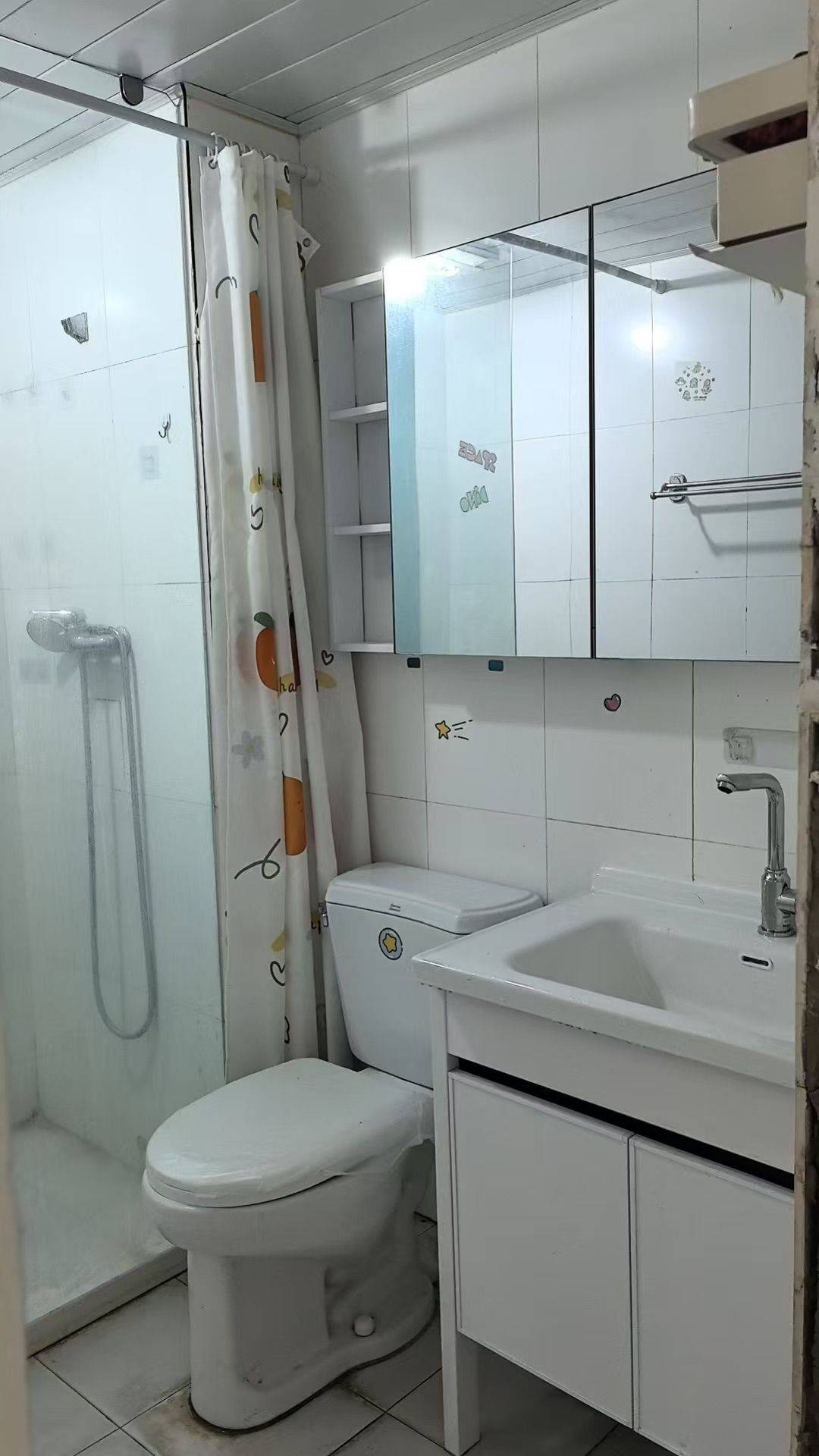 百丈寺的猫整租房源2