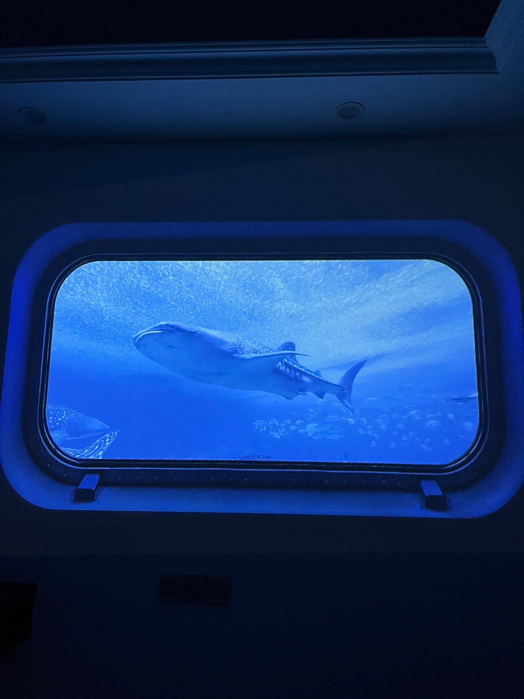 Guangzhou-Huangpu-Cozy Home,Clean&Comfy,No Gender Limit,Hustle & Bustle,“Friends”,Chilled,Pet Friendly