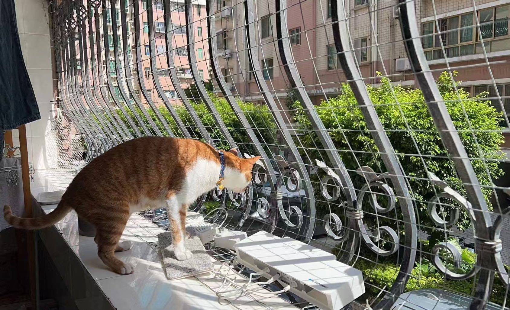 Shenzhen-Futian-Cozy Home,Clean&Comfy,No Gender Limit,“Friends”,Chilled,LGBTQ Friendly