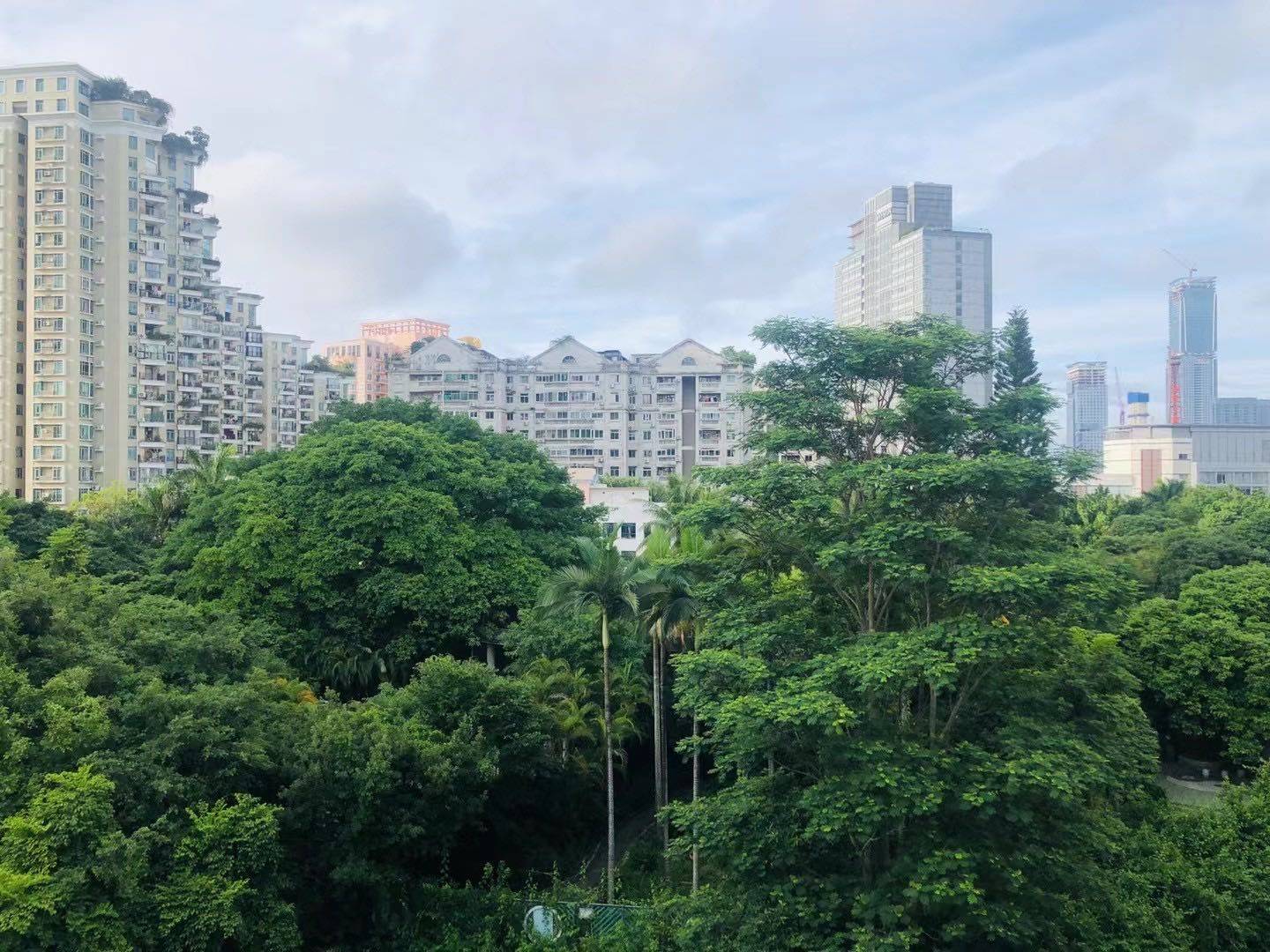 深圳-南山-溫馨小窩,乾淨治愈,不限性別,慢時光,寵物友好