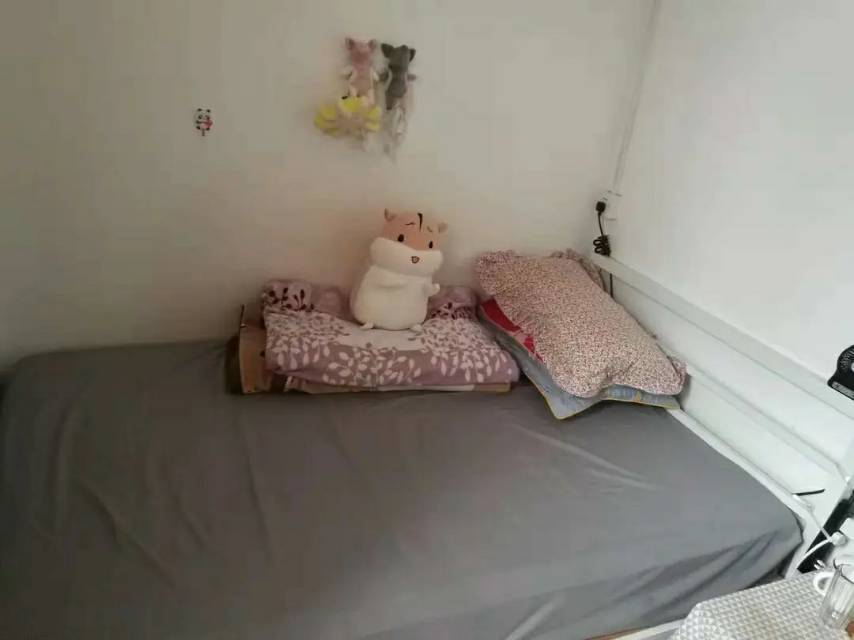 深圳-南山-温馨小窝,干净治愈,不限性别,市井烟火气,宠物友好