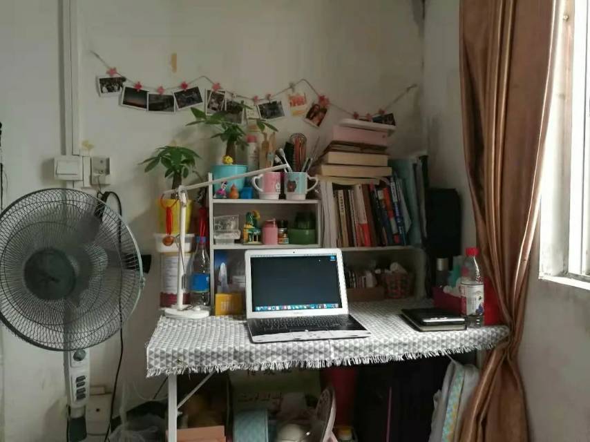 深圳-南山-60RMB/晚,溫馨小窩,乾淨治愈,不限性別,市井煙火氣,老友記,慢時光,寵物友好