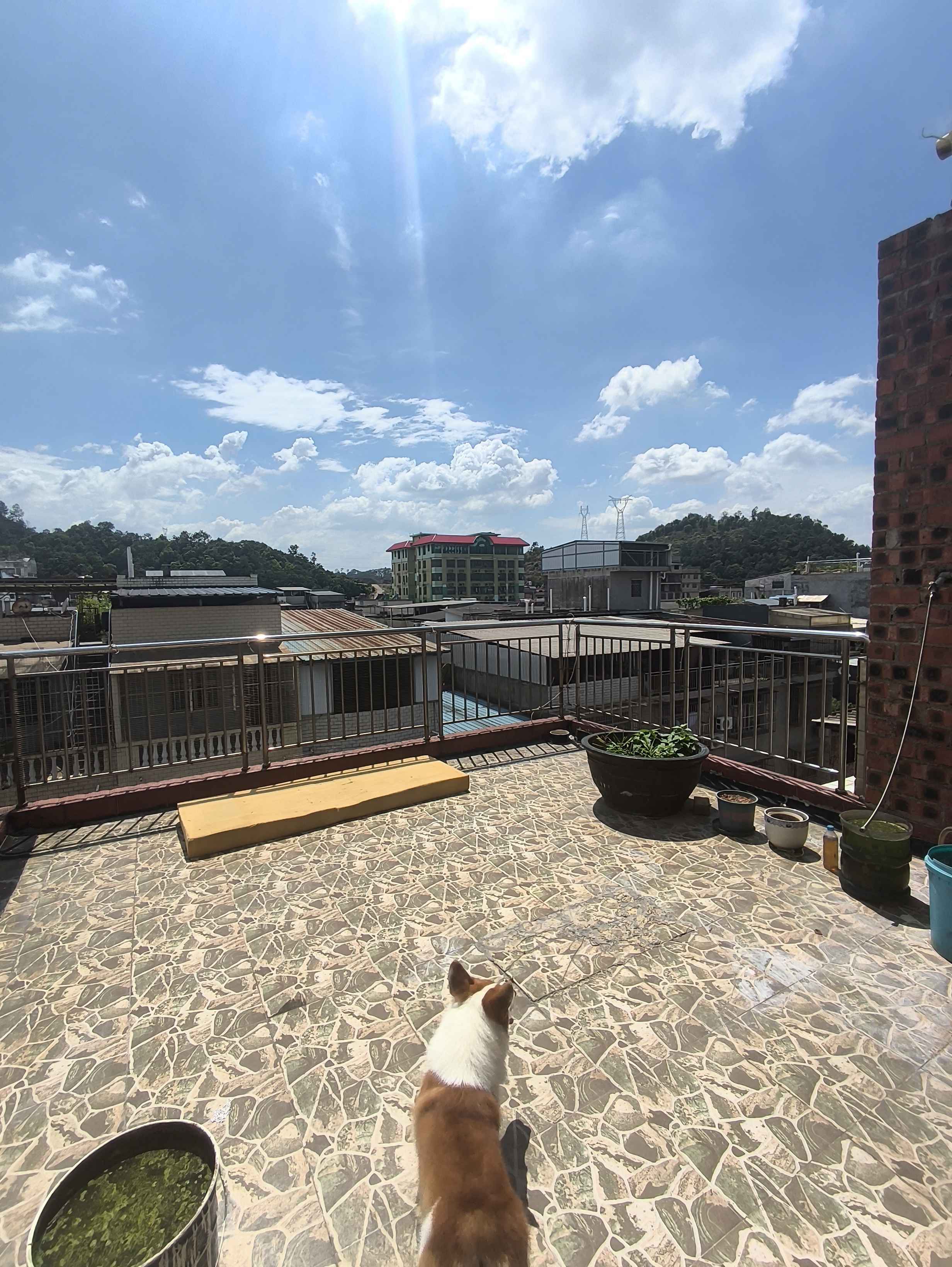 南宁 良庆区 | 金象三区_6