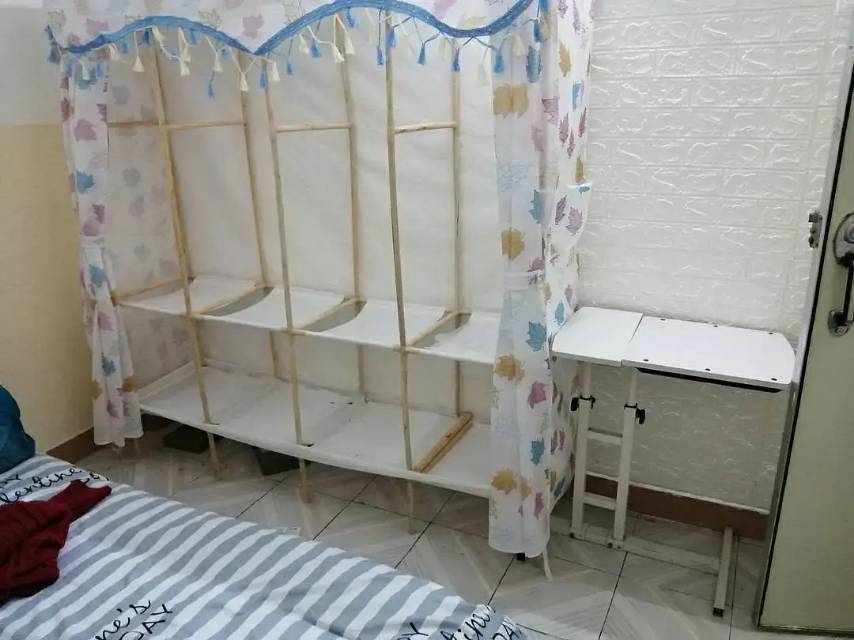 深圳-南山-60RMB/晚,溫馨小窩,乾淨治愈,不限性別,市井煙火氣,老友記,慢時光,寵物友好