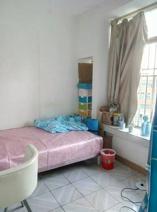 深圳-南山-温馨小窝,干净治愈,不限性别,市井烟火气,宠物友好