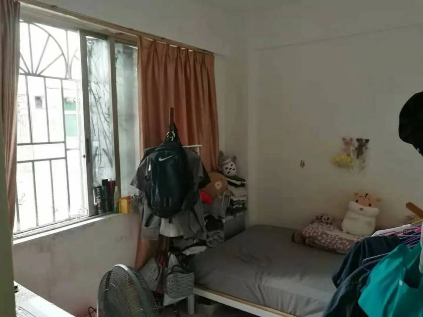 深圳-南山-60RMB/晚,溫馨小窩,乾淨治愈,不限性別,市井煙火氣,老友記,慢時光,寵物友好