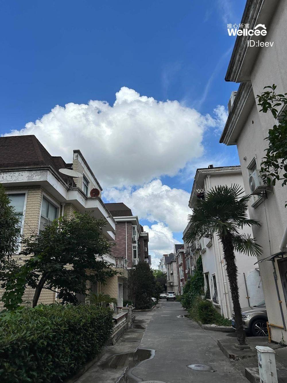 Shanghai-Songjiang-Cozy Home,Clean&Comfy,No Gender Limit,Hustle & Bustle,Pet Friendly