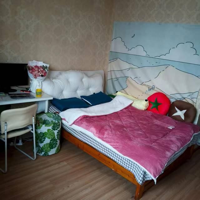 Beseech(退网赚钱版)整租房源1