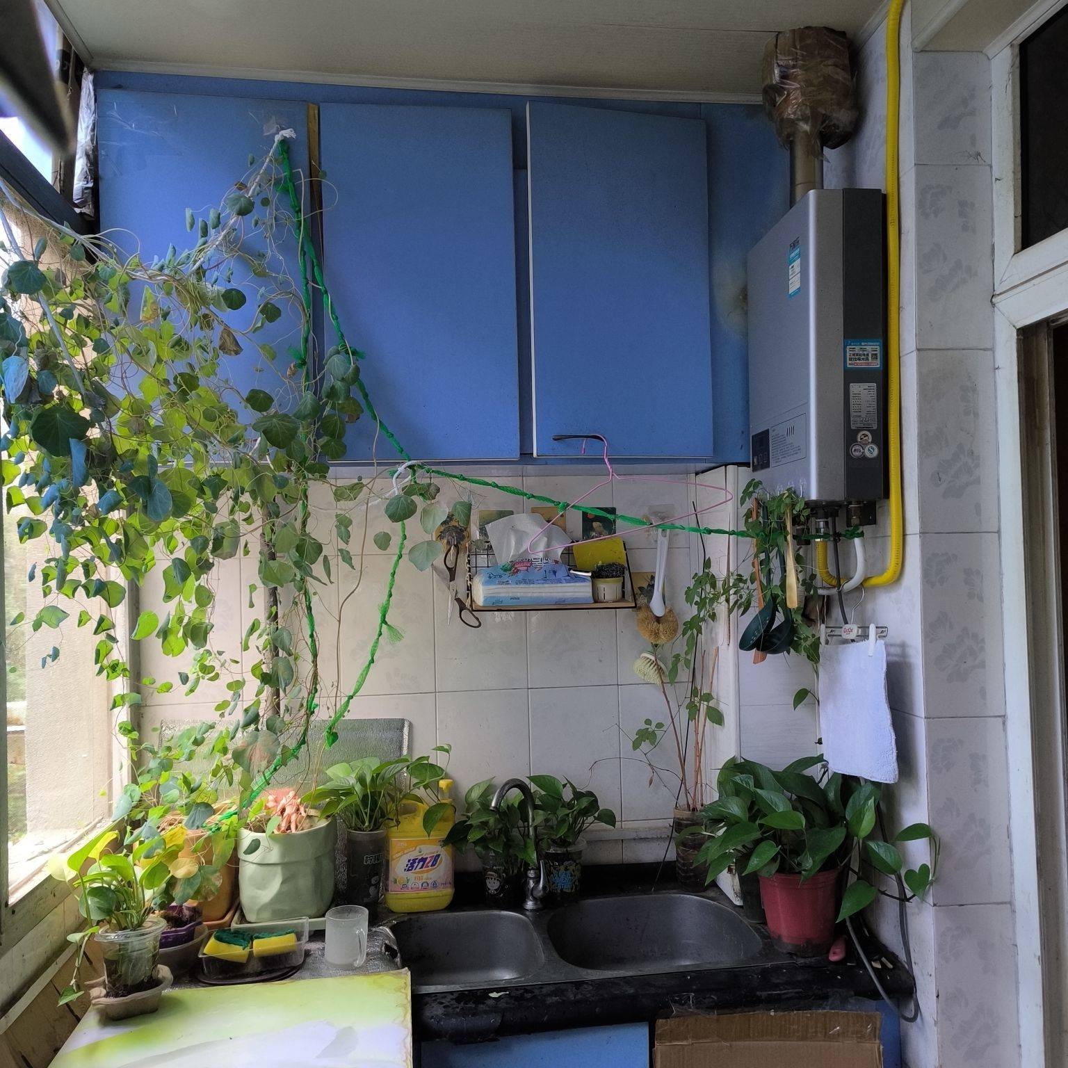 西安-碑林-40RMB/晚,市井煙火氣