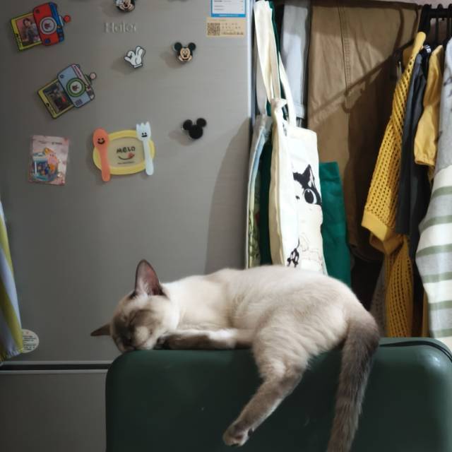 成都 青羊 | 时代凯悦-2单元_4