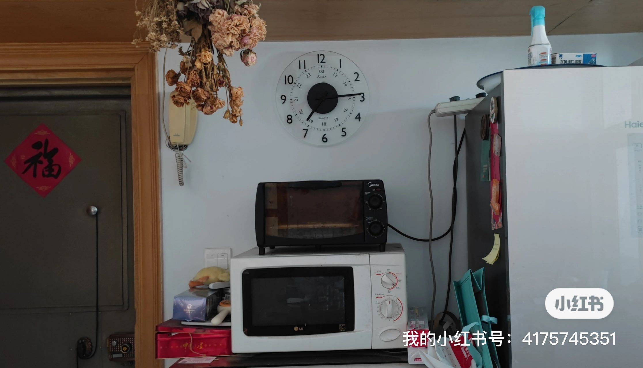 没有莉莎整租房源1