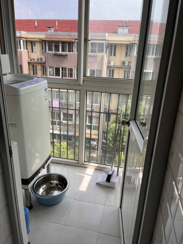 南京 秦淮 | 郁金香花苑_4