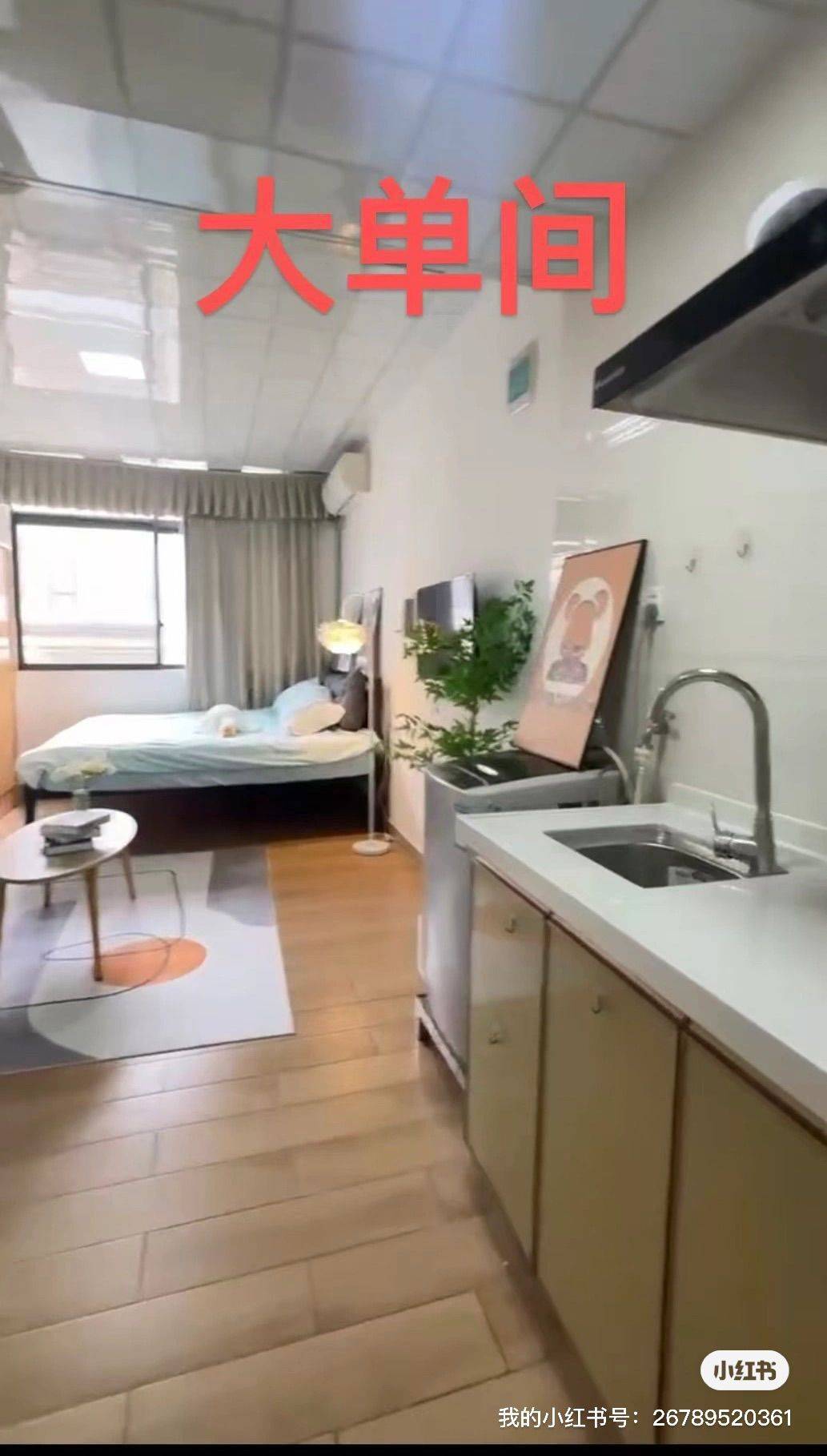 深圳-寶安-溫馨小窩,乾淨治愈,不限性別,市井煙火氣,老友記,慢時光,LGBTQ友好